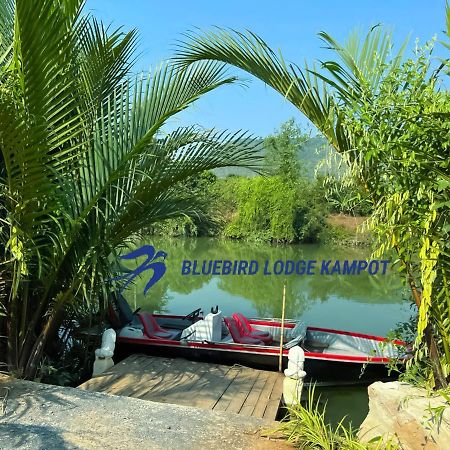 Bluebird Lodge กำปอต ภายนอก รูปภาพ