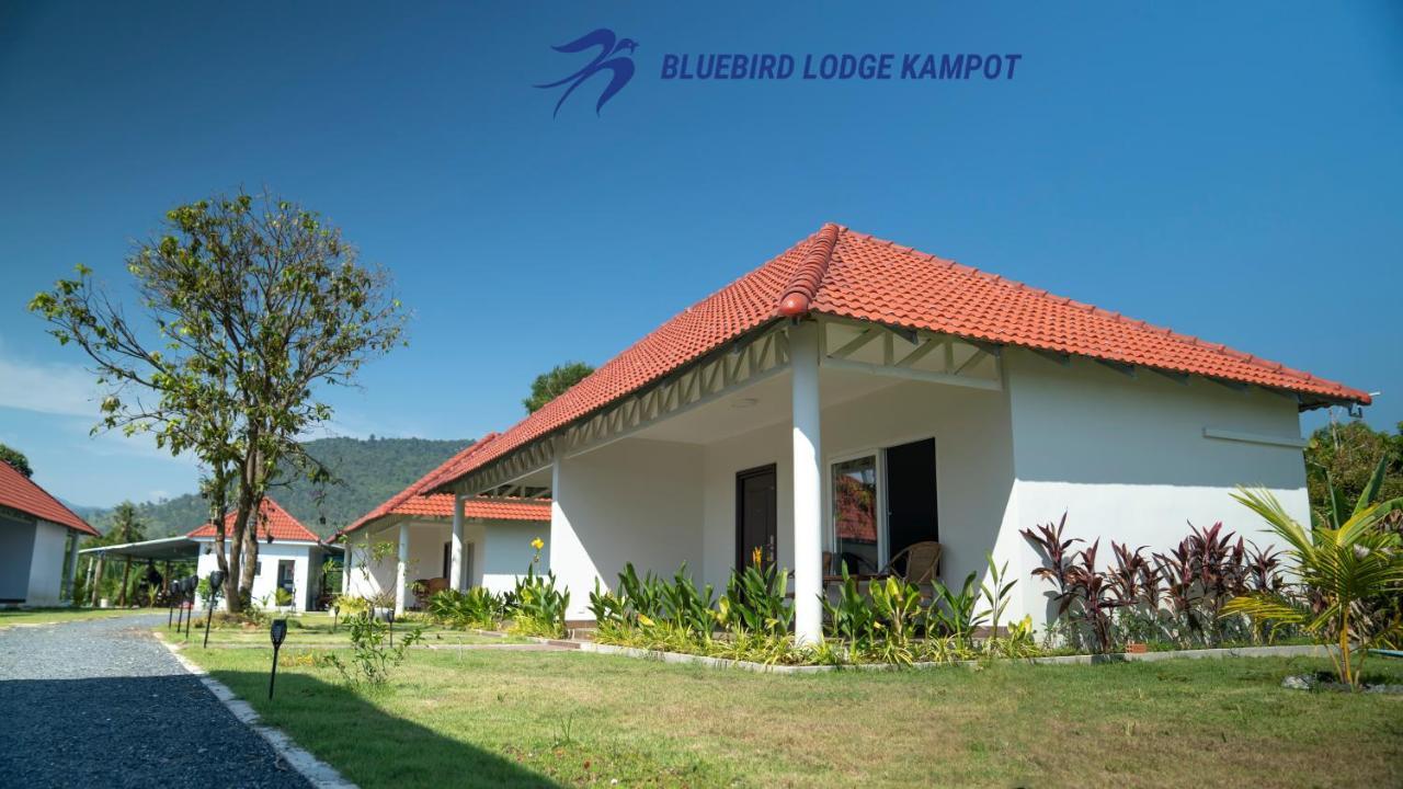 Bluebird Lodge กำปอต ภายนอก รูปภาพ
