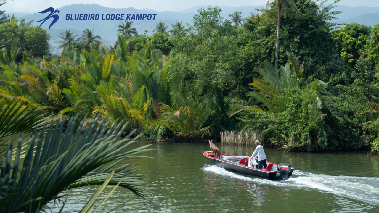 Bluebird Lodge กำปอต ภายนอก รูปภาพ